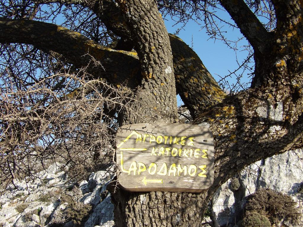 Arodamos Guesthouse Krousonas  Eksteriør billede